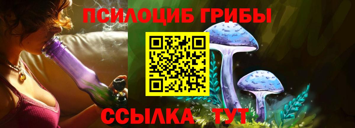 Люберцы  Псилоцибиновые грибы GOLDEN TEACHER  Галлюциногенные грибы MAGIC MUSHROOMS  как найти закладки  Вход с VPN 